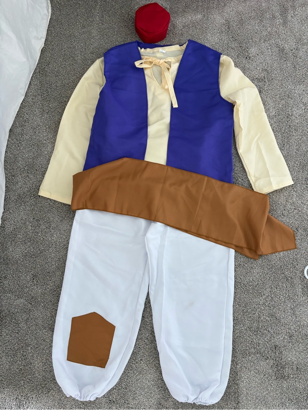 Adult Aladdin Costume